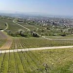 Landgasthof Rebstock / Basel 3* Weil am Rhein