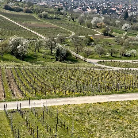 Landgasthof Rebstock / Basel Hotel Weil am Rhein
