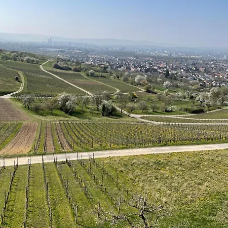 Landgasthof Rebstock / Basel 3* Weil am Rhein